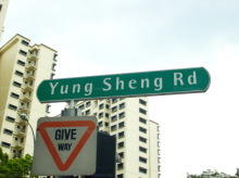 Blk 110 Yung Sheng Road (S)610110 #80342